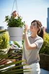greenville hanging basket 24cm living concrete